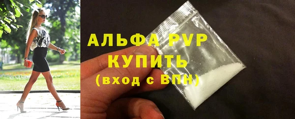 шишки Карпинск
