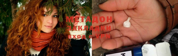 шишки Карпинск