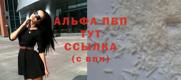 шишки Карпинск