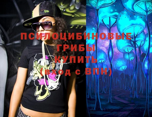 Альфа ПВП Касимов