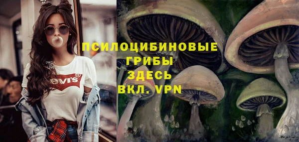 шишки Карпинск