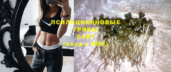 Альфа ПВП Касимов