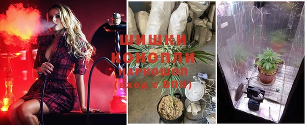 шишки Карпинск