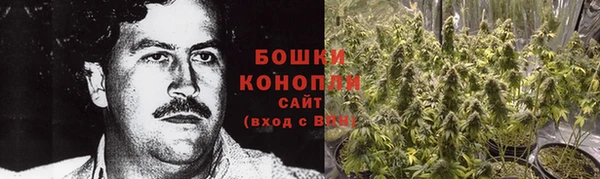 шишки Карпинск
