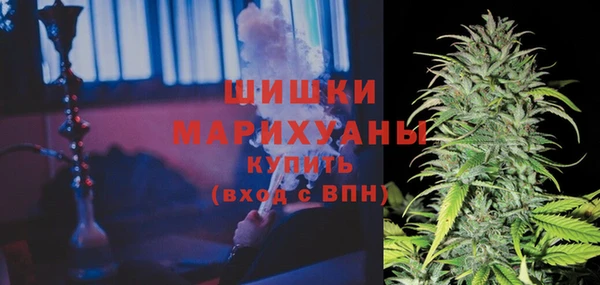 Альфа ПВП Касимов