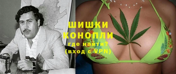 шишки Карпинск