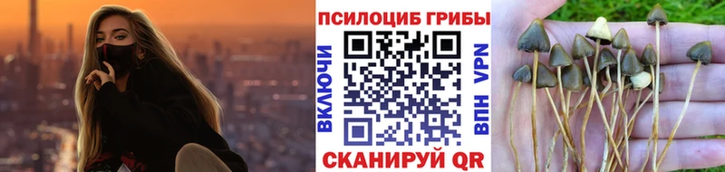 магазин наркотиков мега зеркало Псилоцибиновые грибы мухоморы Талица